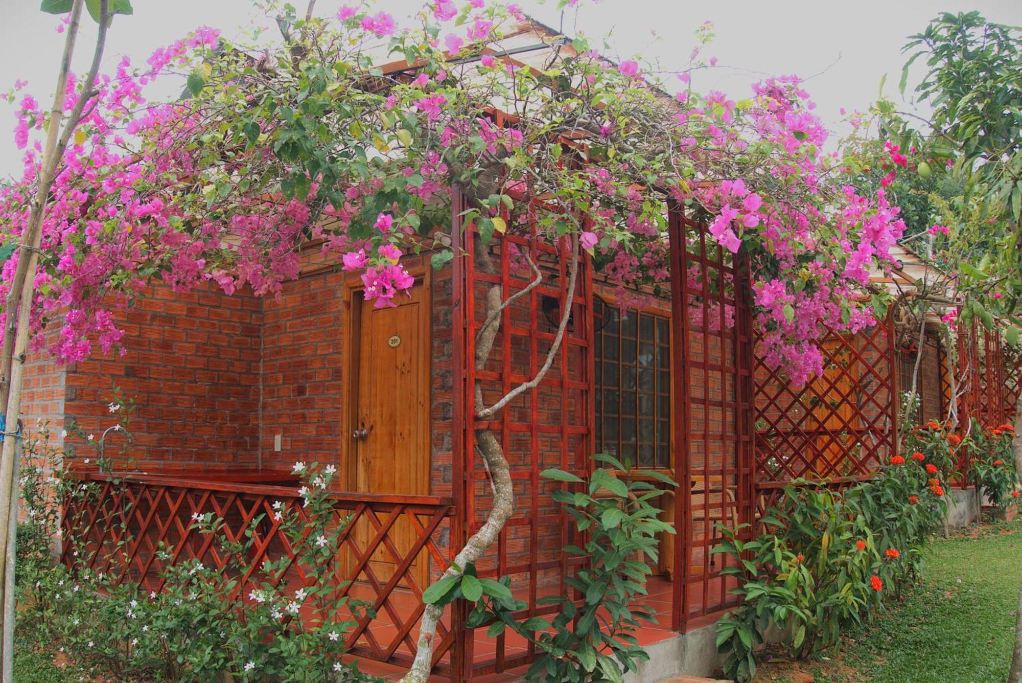 Phu Quoc Valley Sen Bungalow المظهر الخارجي الصورة