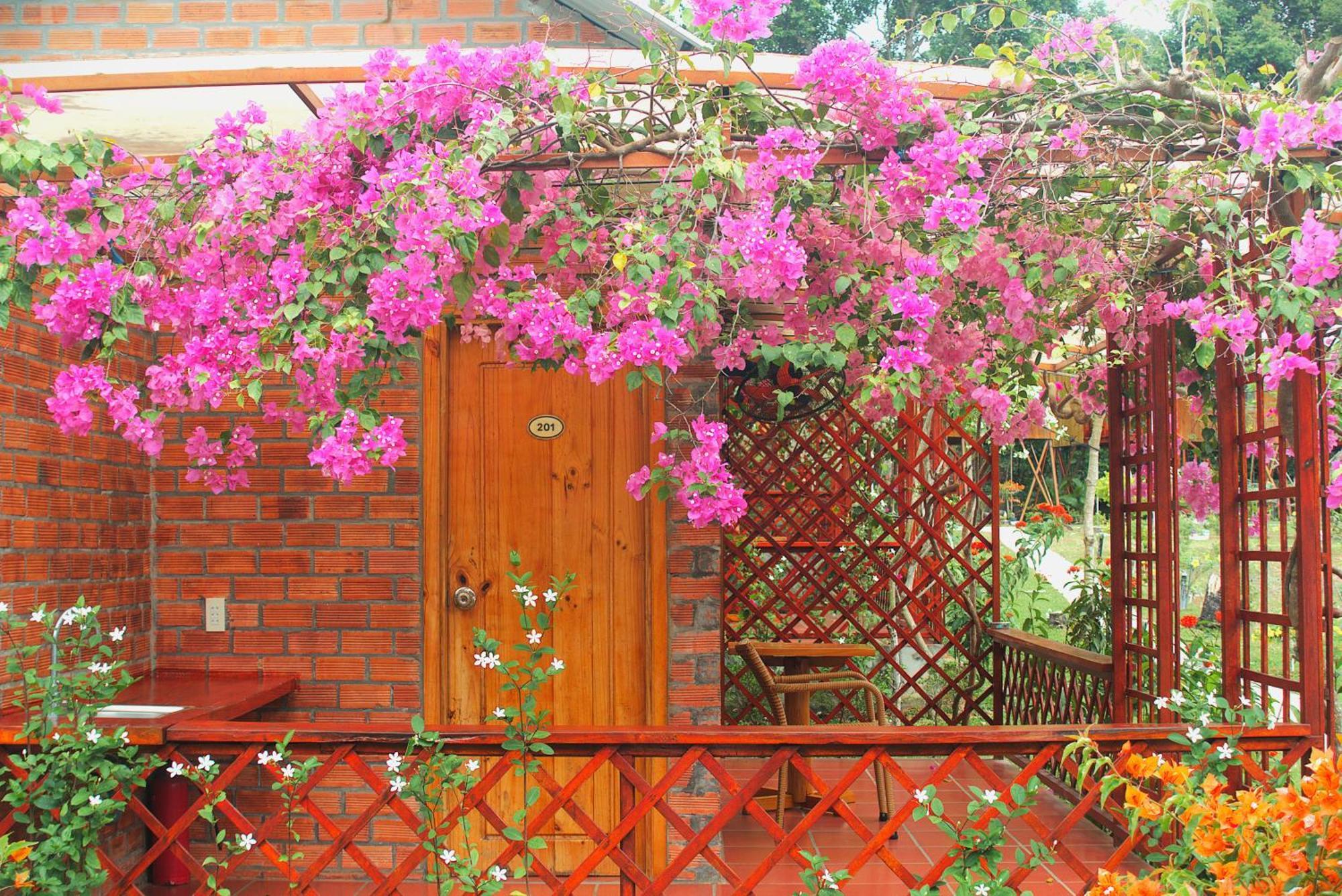 Phu Quoc Valley Sen Bungalow المظهر الخارجي الصورة